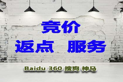 SEM竞价代运营公司实战案例分析